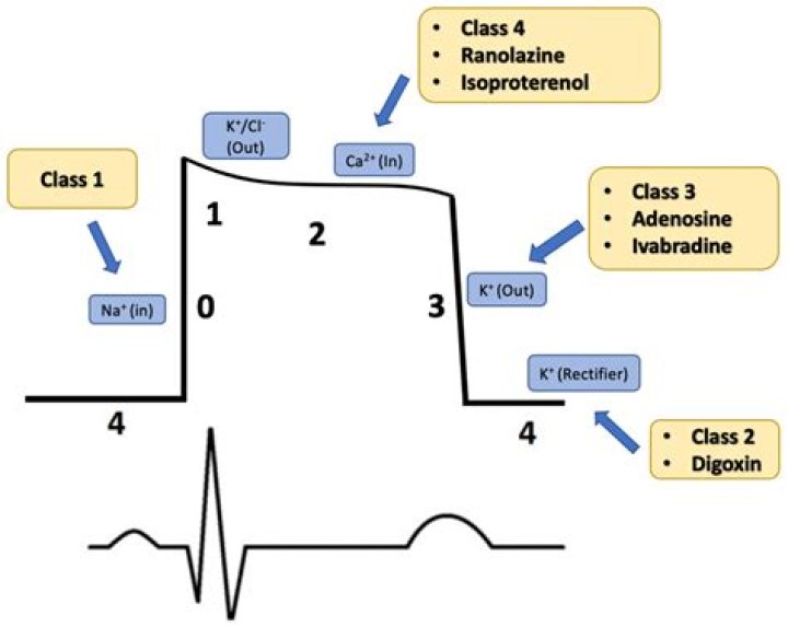 Where is sotalol initiated?