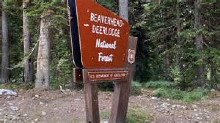 Where is the Beaverhead-Deerlodge National Forest?