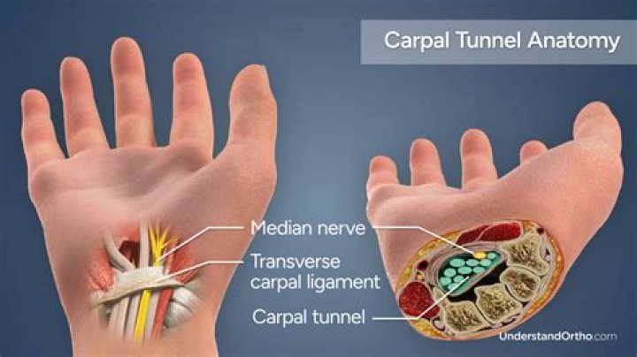 Where is the carpal tunnel space?