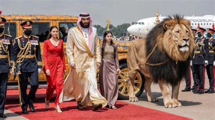 Where was Mohammed bin Salman born?