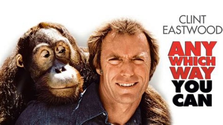 Where was the fight scene filmed in Any Which Way You Can?