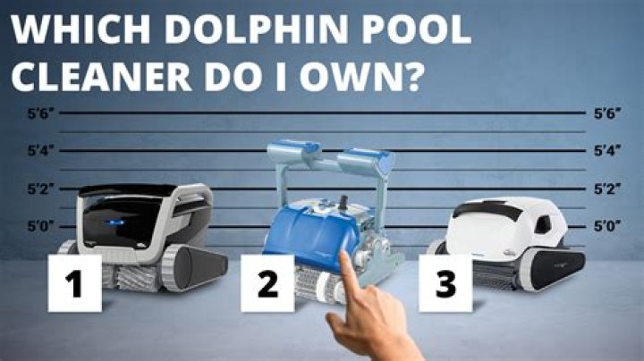 Which Dolphin cleaner is the best?
