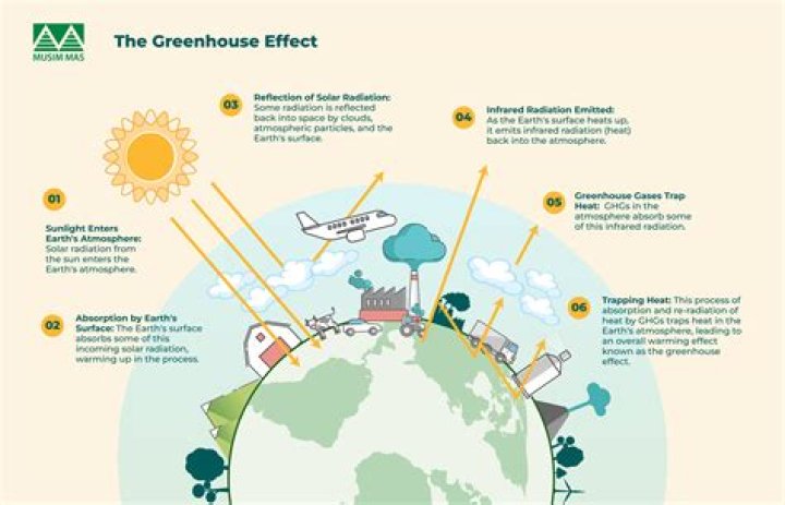 Which greenhouse gas is responsible for ozone layer depletion?
