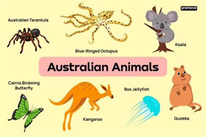 Which is a famous wildlife of Australia?