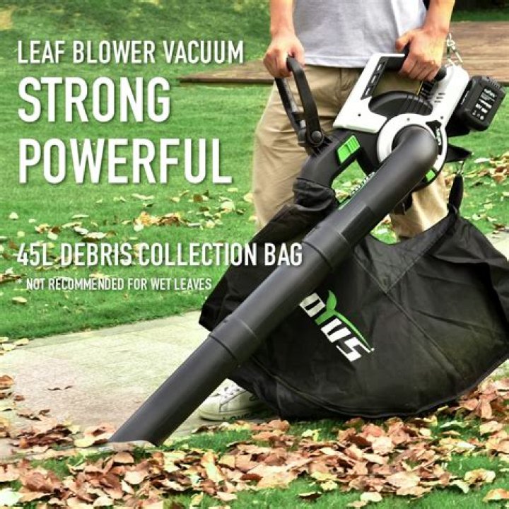 Which is the best battery operated leaf blower?
