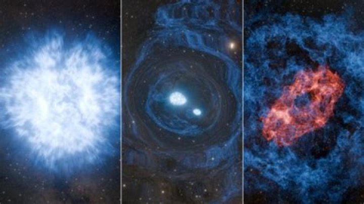 Which is the heaviest star?