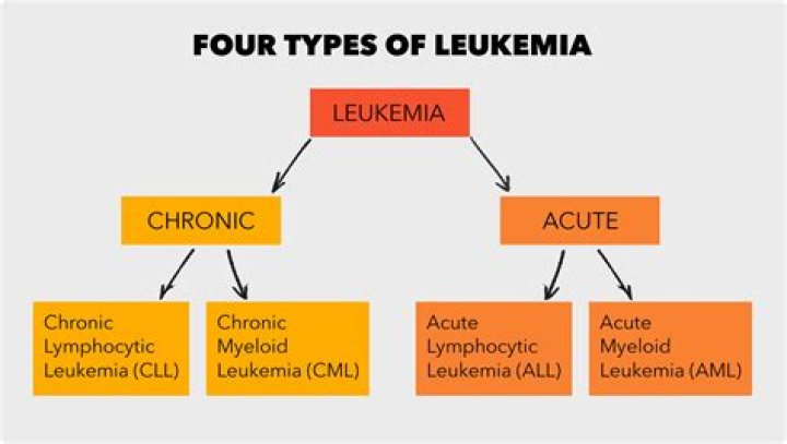 Which type of leukemia is curable?