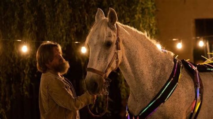 Who falls in love with Rebekah?