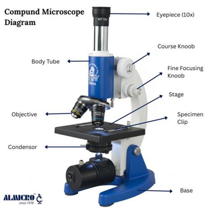 Who first use compound microscope?