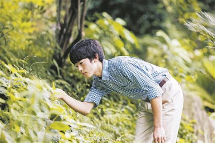 Who is Calon cardio?