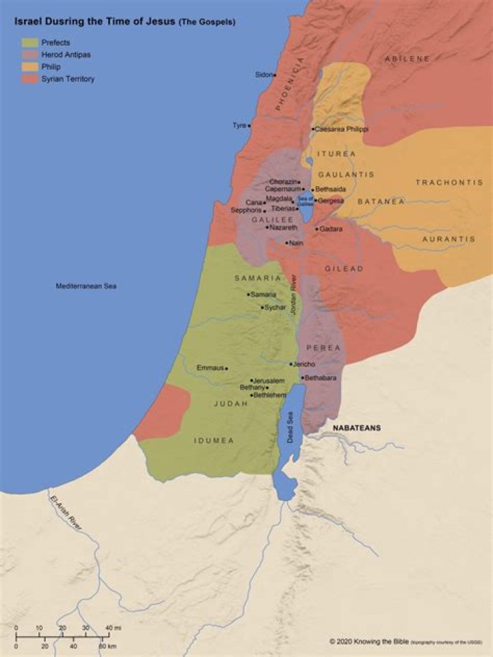 Who ruled the Rhenish Palatinate?