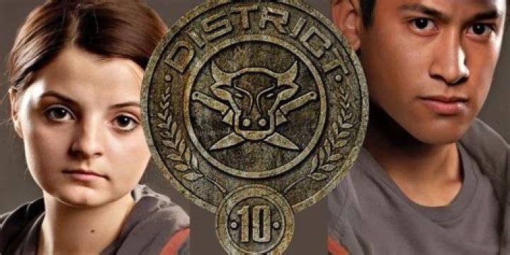 Who were the tributes from District 2 in The Hunger Games?