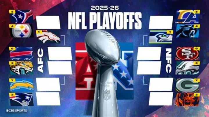 Who won the 2011 NFL playoffs?