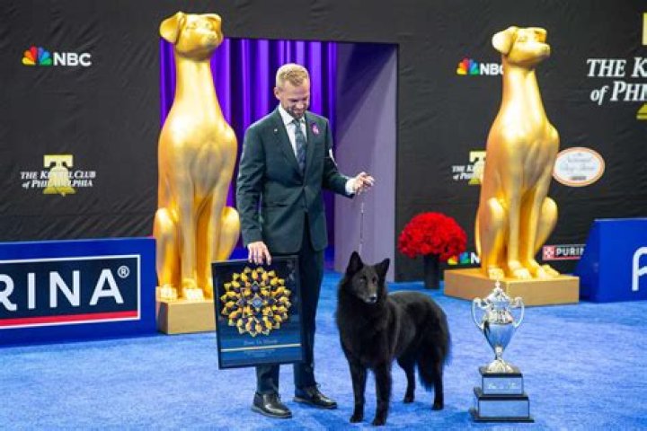 Who won the purina Dog Show 2021?