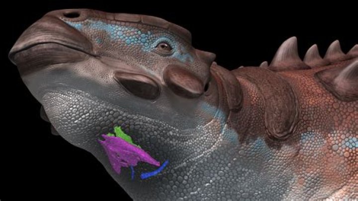 Why is it called a goon bag?