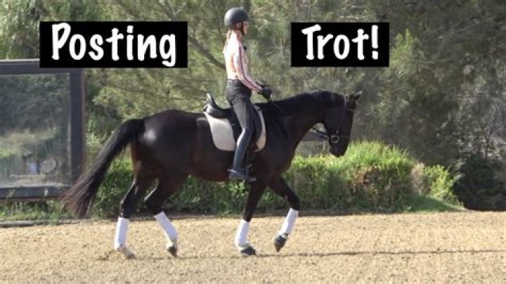 Why is it called posting trot?