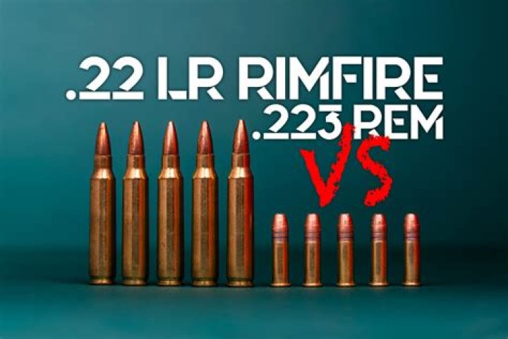 Why is there a shortage of 22 LR ammo?