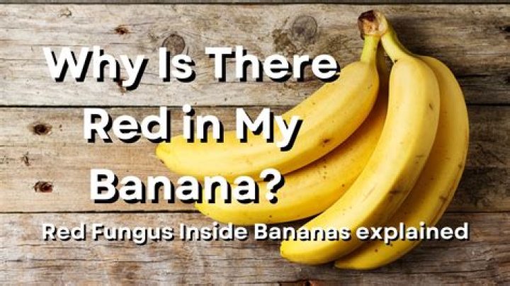 Why is there red stuff in my shower?